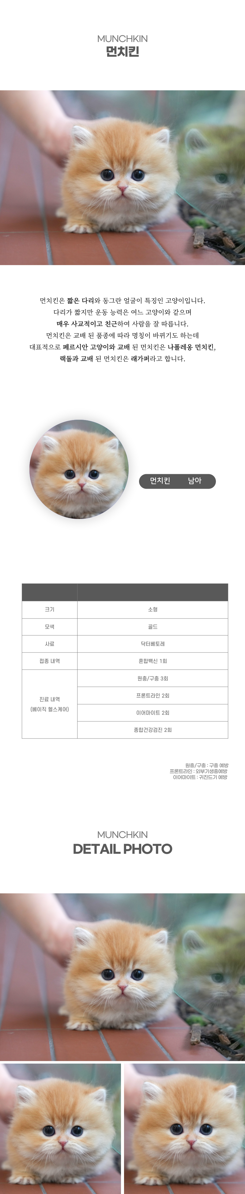 먼치킨_상세이미지_2